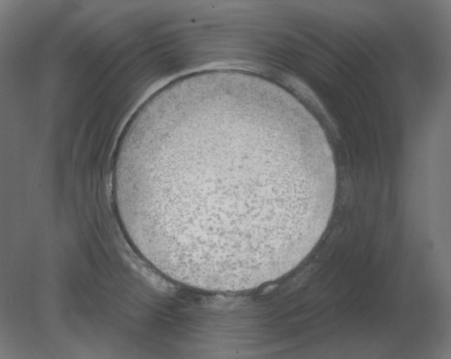 X0000080741284200701121927