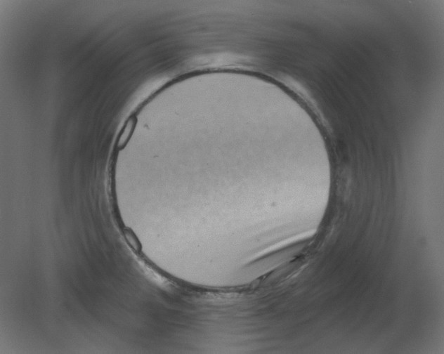 X0000080741285200701121927