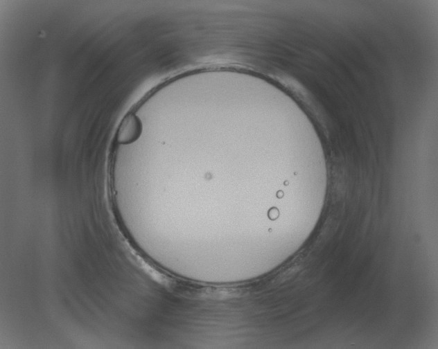 X0000080741286200701121927