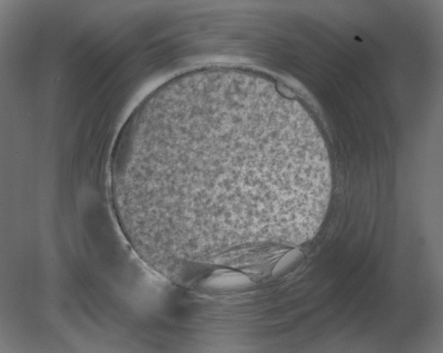 X0000080741287200701121927