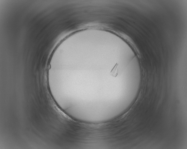 X0000080741288200701121927