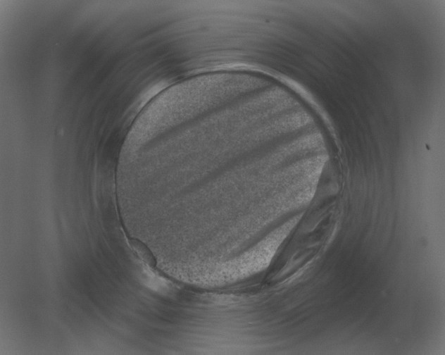 X0000080741289200701121927