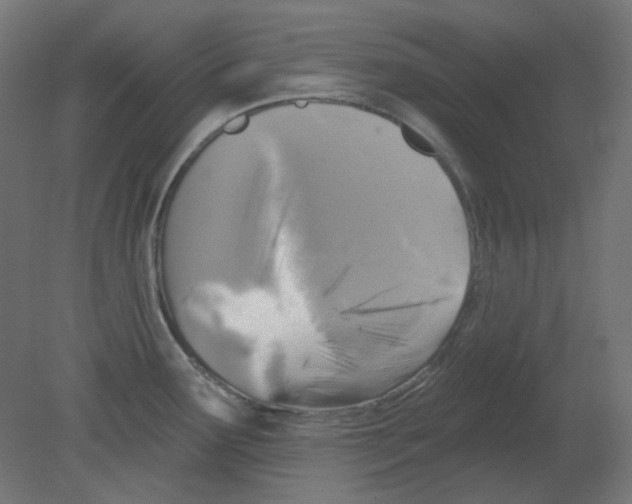 X0000080741291200701121927