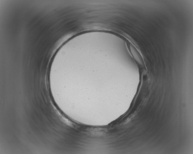 X0000080741293200701121927