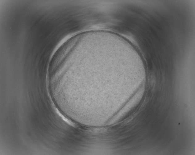 X0000080741294200701121927