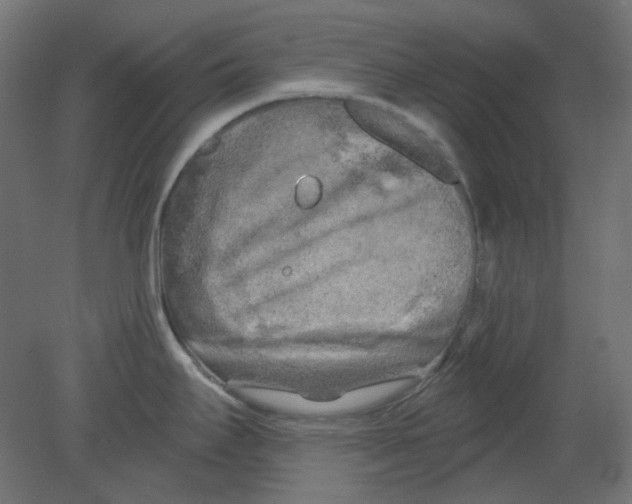 X0000080741295200701121927