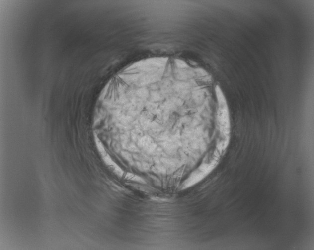 X0000080741297200701121926