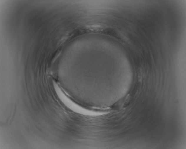 X0000080741298200701121926