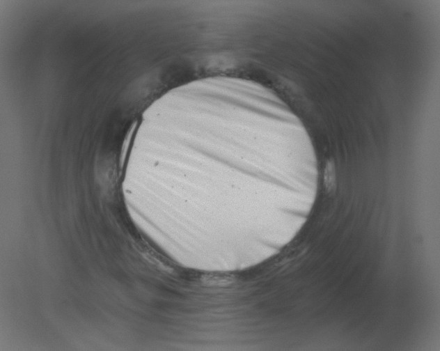 X0000080741299200701121926