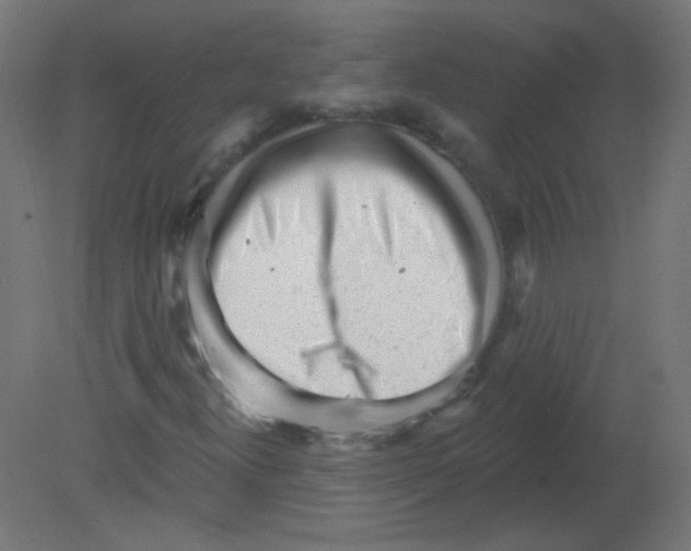 X0000080741300200701121926