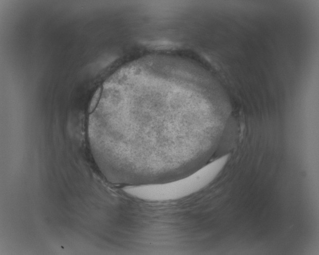 X0000080741301200701121926