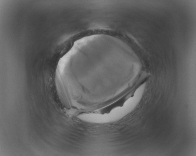 X0000080741303200701121926