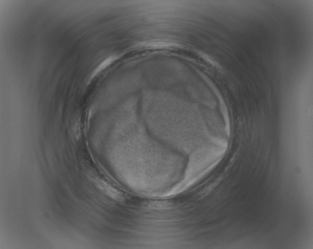 X0000080741306200701121926