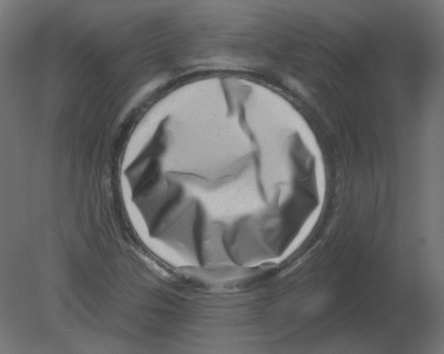 X0000080741307200701121926