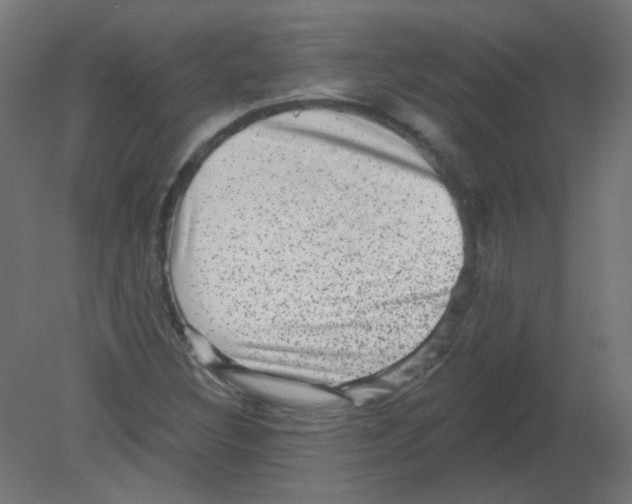 X0000080741308200701121926