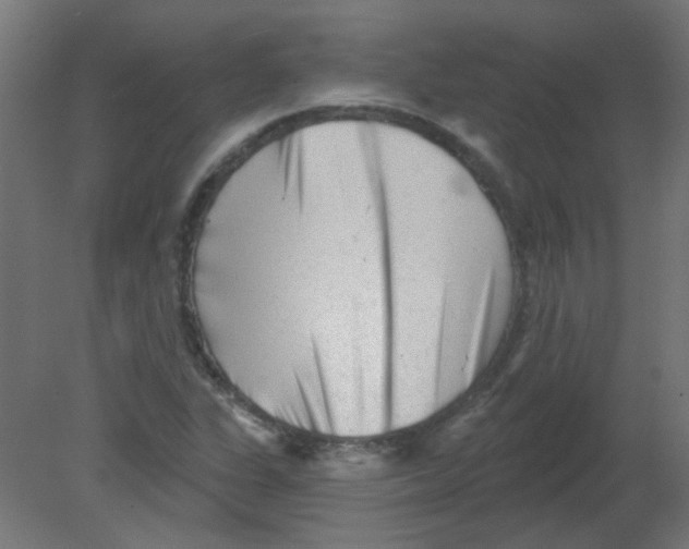 X0000080741311200701121926