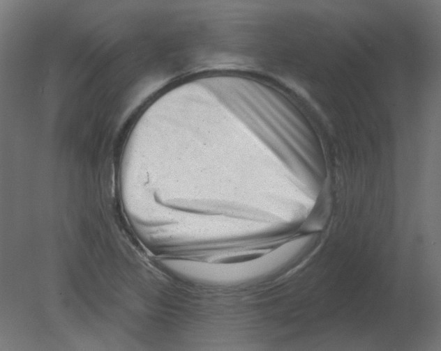 X0000080741317200701121926