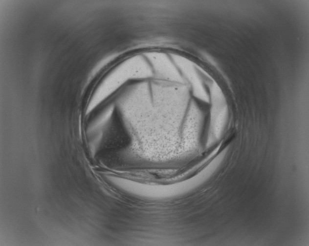 X0000080741320200701121926