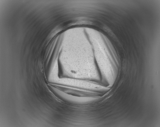 X0000080741321200701121926