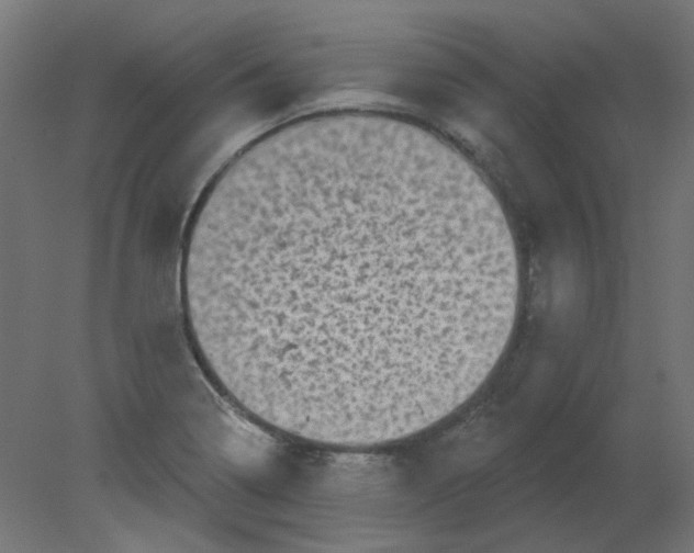 X0000080741322200701121926