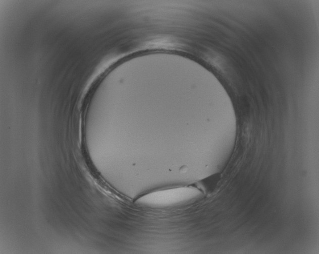 X0000080741323200701121926