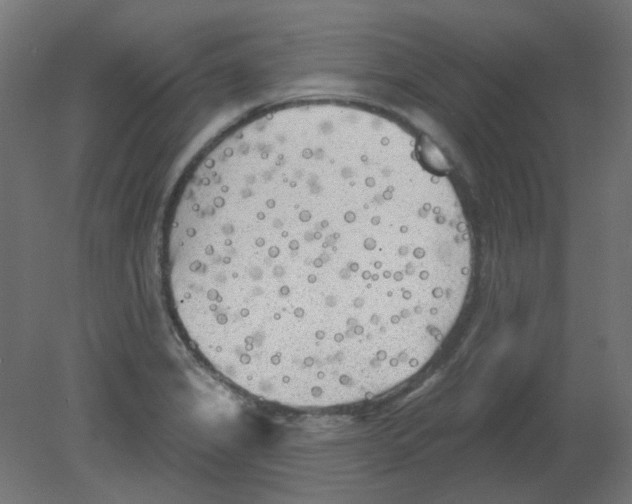 X0000080741325200701121926