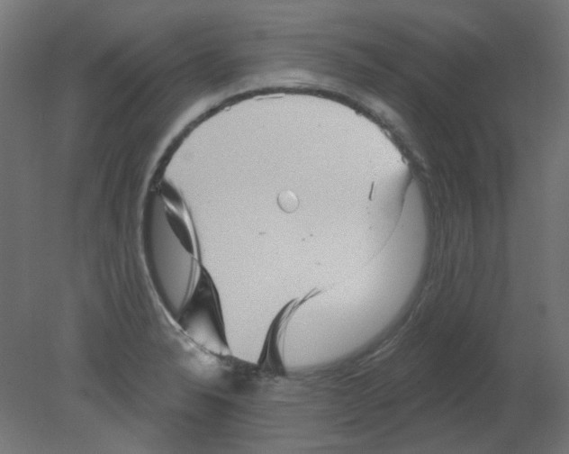 X0000080741326200701121926