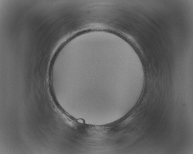 X0000080741327200701121926