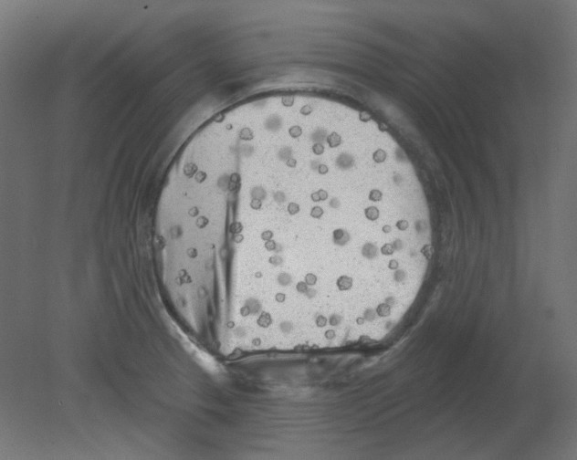 X0000080741329200701121926