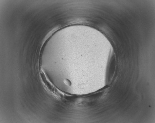 X0000080741330200701121926