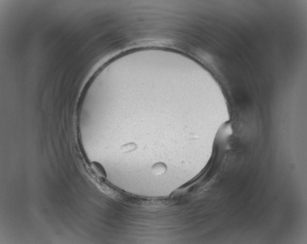 X0000080741332200701121926