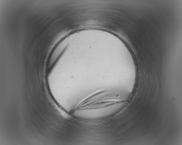 X0000080741333200701121926