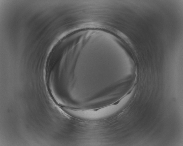 X0000080741334200701121927