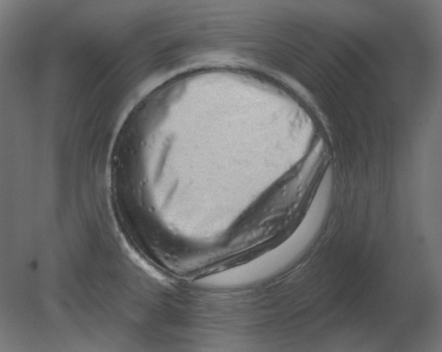 X0000080741335200701121927