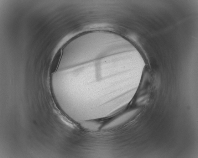 X0000080741336200701121927