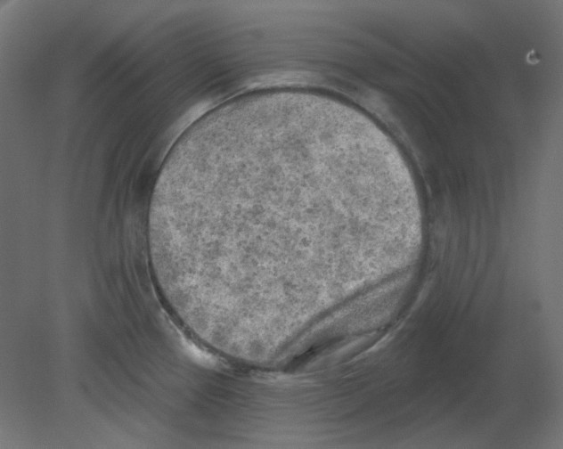 X0000080741337200701121927