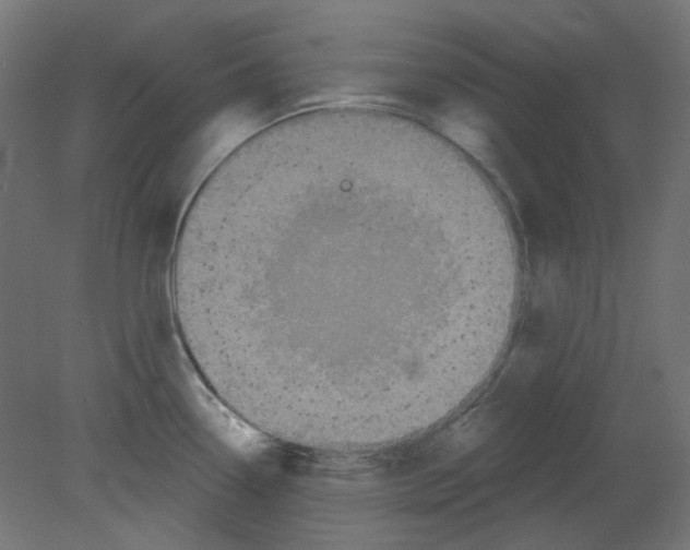 X0000080741338200701121927