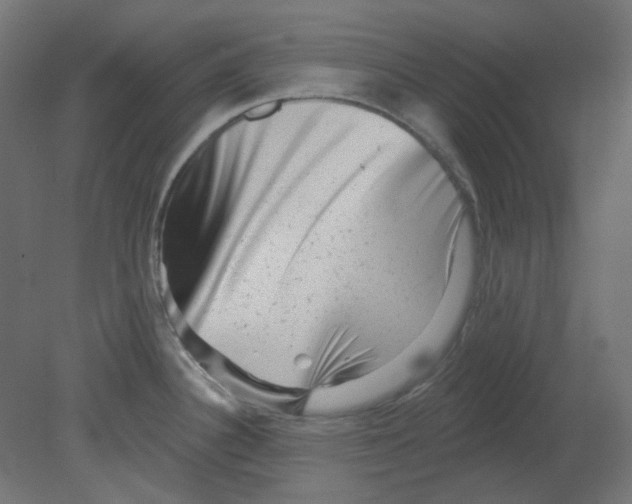 X0000080741340200701121927