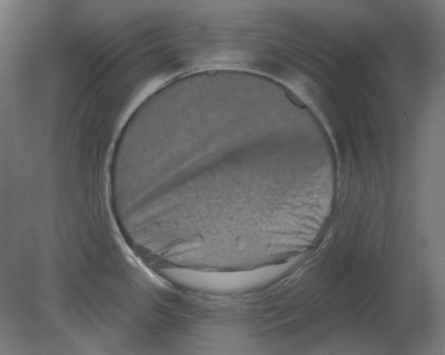 X0000080741341200701121927