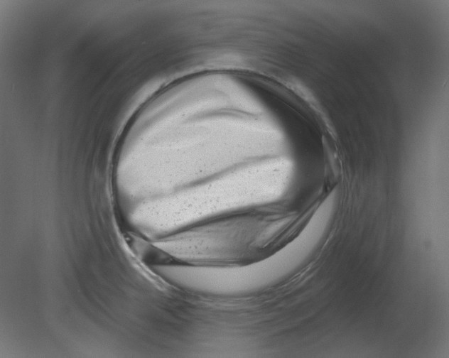 X0000080741342200701121927