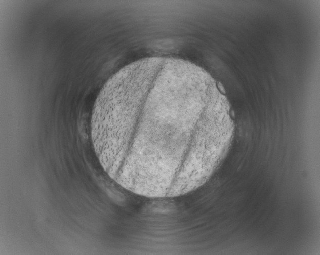 X0000080741346200701121926