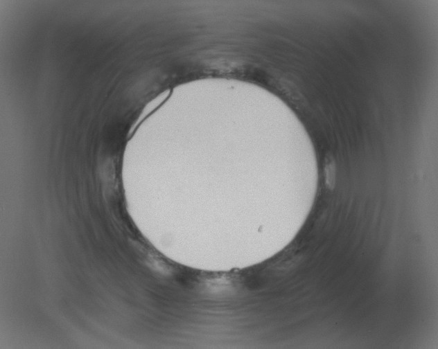 X0000080741347200701121926