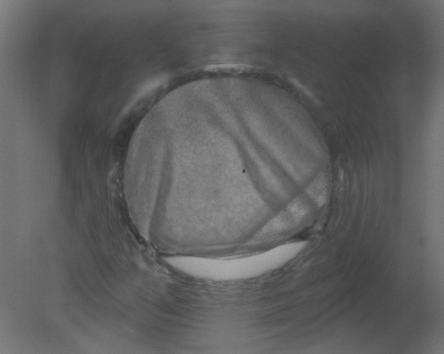 X0000080741351200701121926