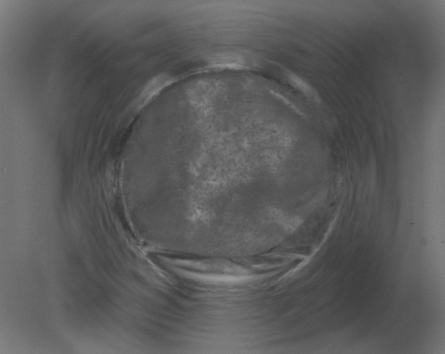 X0000080741353200701121926