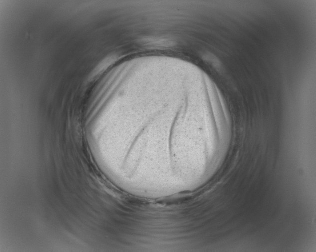 X0000080741354200701121926