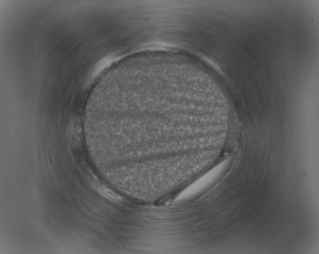 X0000080741355200701121926