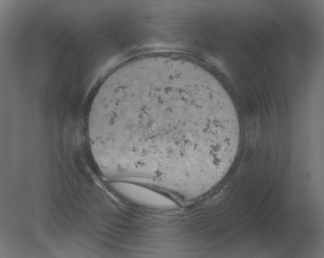 X0000080741357200701121926