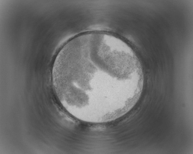 X0000080741358200701121926