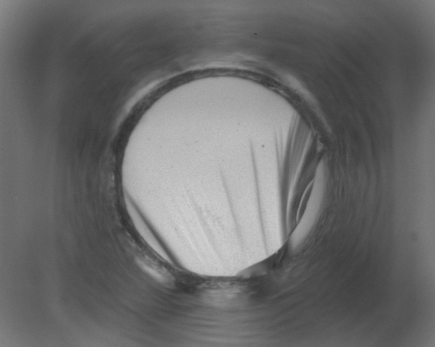 X0000080741360200701121926