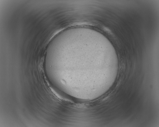 X0000080741361200701121926